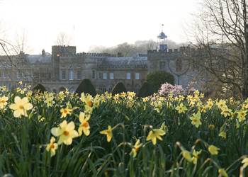 Forde Abbey Historic House and Gardens