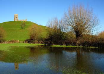 Burrow Mump