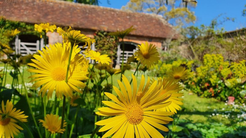 10 Places to Visit in Somerset