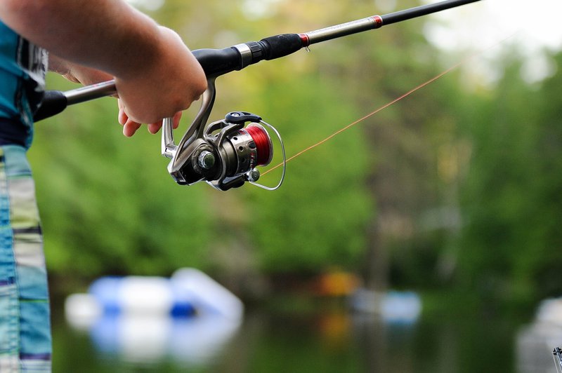 Fishing and Angling in Somerset