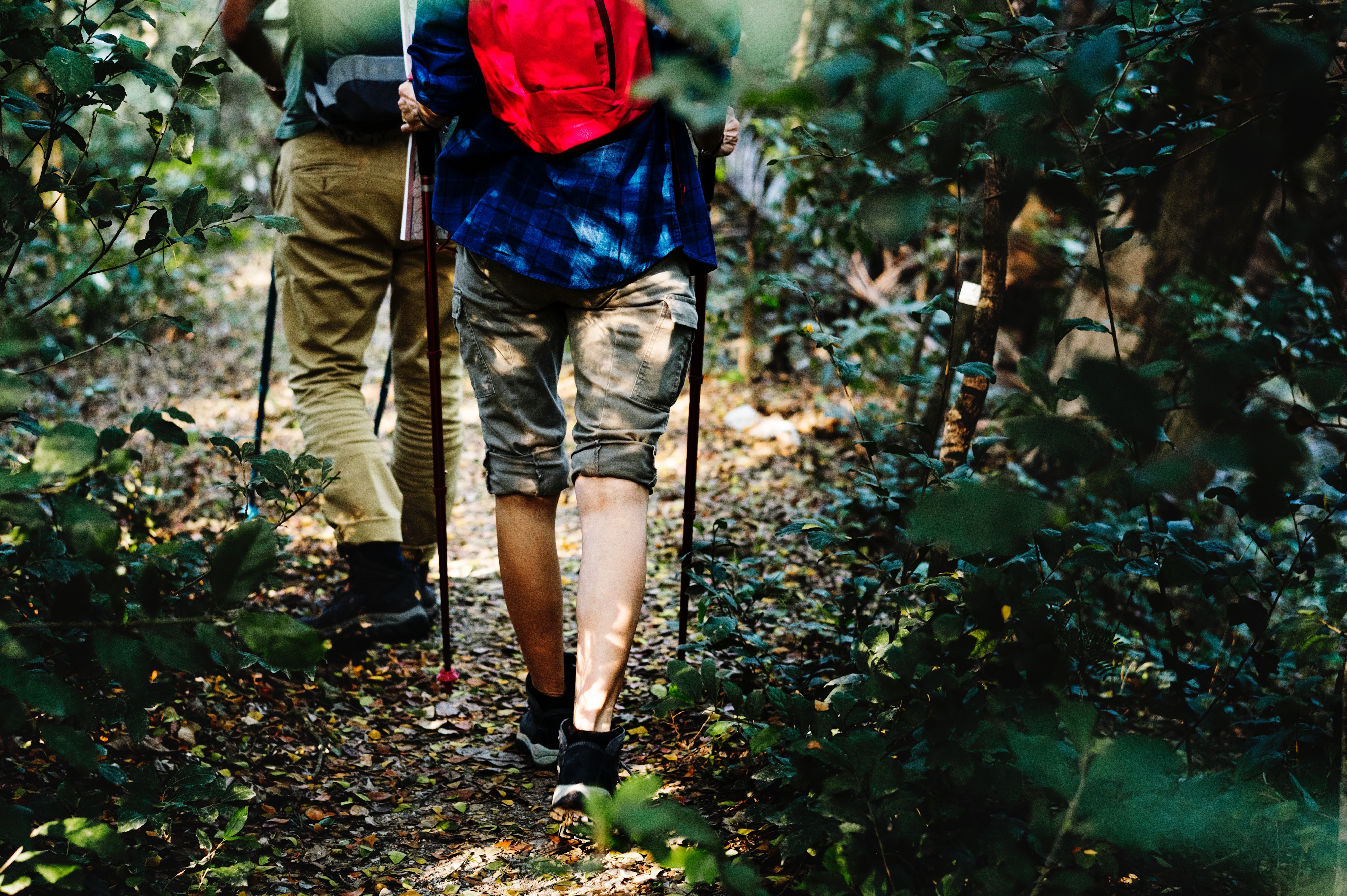 Top 5 Tips for Spring Camping