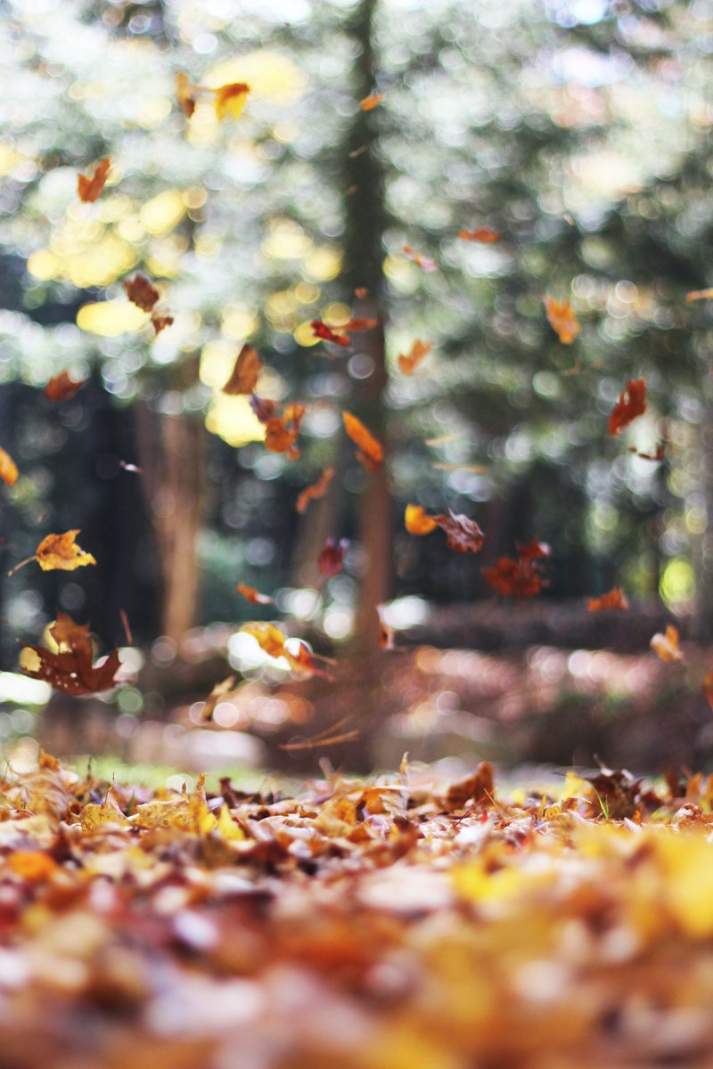 Camping in Autumn and Winter