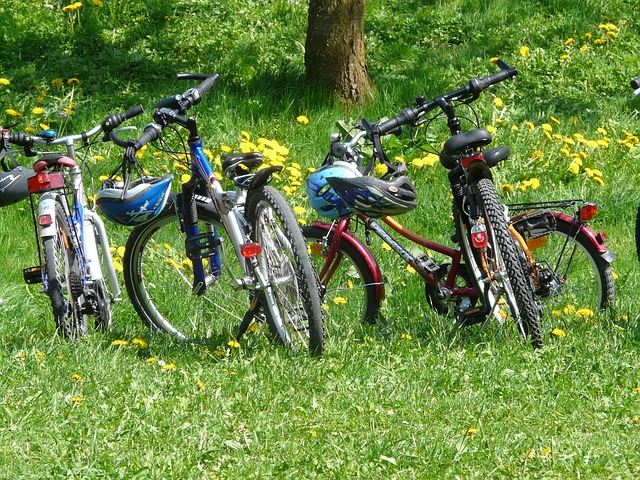 Cycling holidays in South Somerset