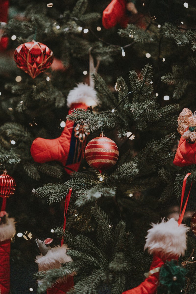 Christmas Events in Somerset 2023