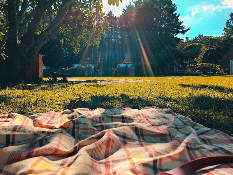 Places to Picnic Near Yeovil, Somerset