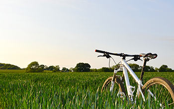 Cycling holidays in Somerset