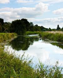 Fishing on the River Parrett