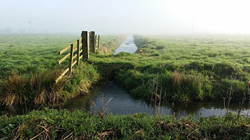 Walking holidays in Somerset